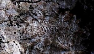 Read more about the article کشف کهن ترین و قدیمیترین کتیبه ای که نام نزرتشت پیامبر در آن آمده است.