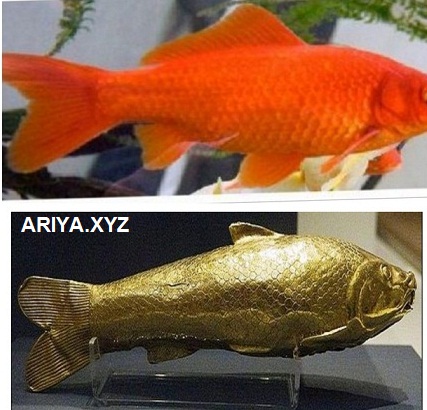 Read more about the article ماهی قرمز در فرهنگ ایران باستان